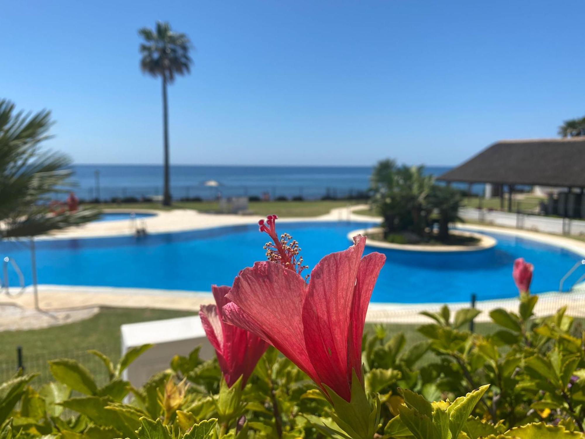 Frontline Beach Ground Floor With Privet Garden, Mi Capricho 16 Apartment Mijas Exterior photo